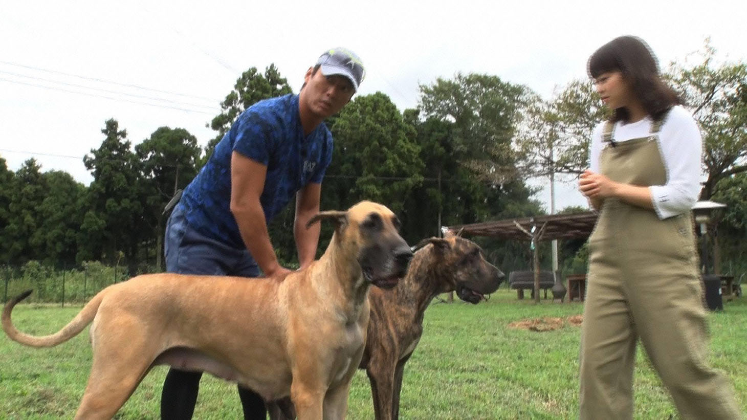 「坂上どうぶつ王国」初回SPより。(c)フジテレビ