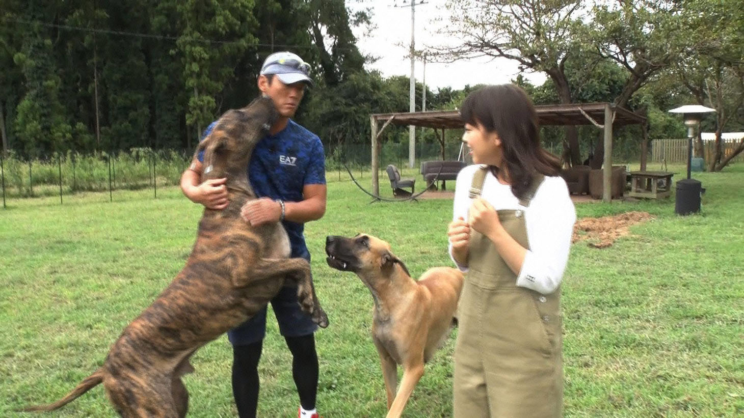 「坂上どうぶつ王国」初回SPより。(c)フジテレビ