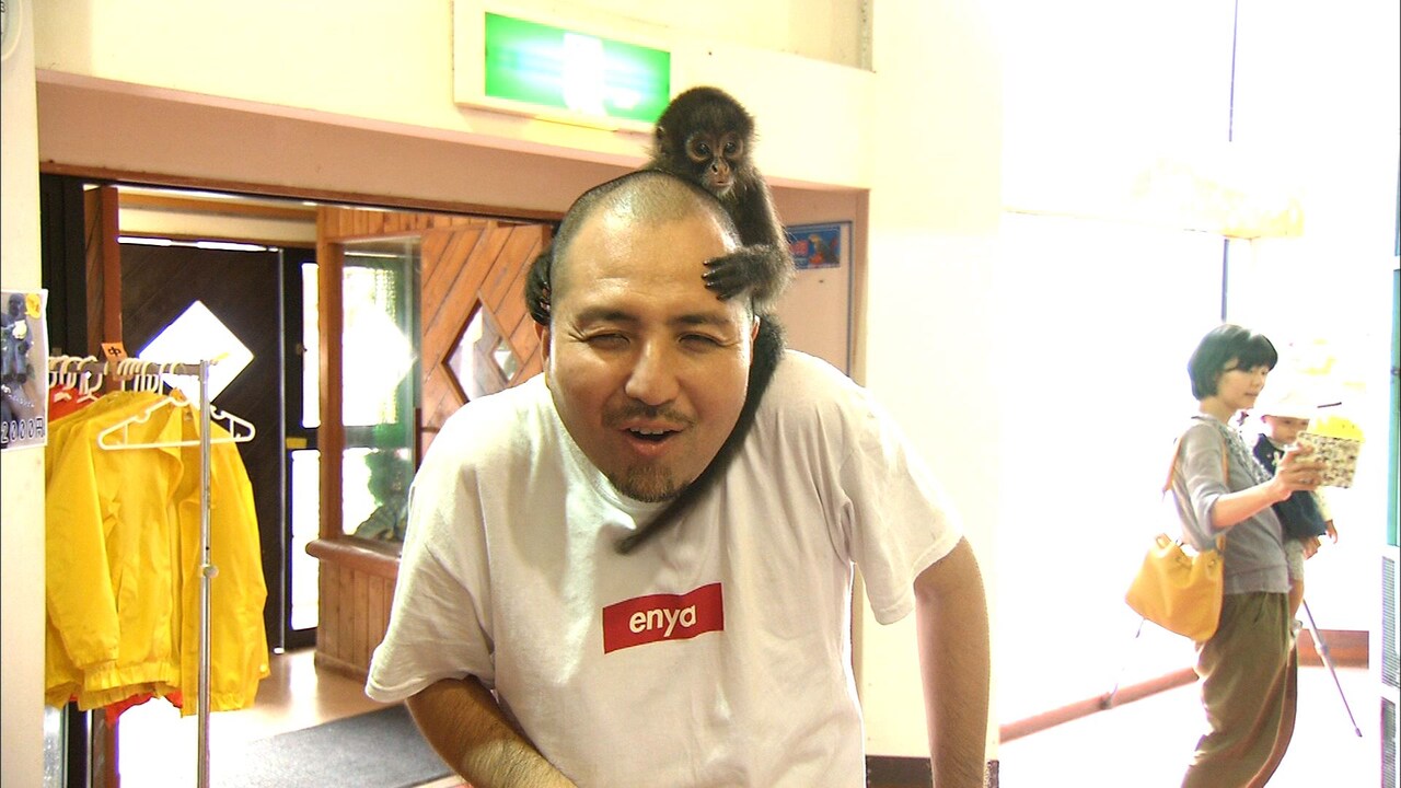 スリムクラブ内間がサルやゾウと相席、千鳥「動物との相性抜群」