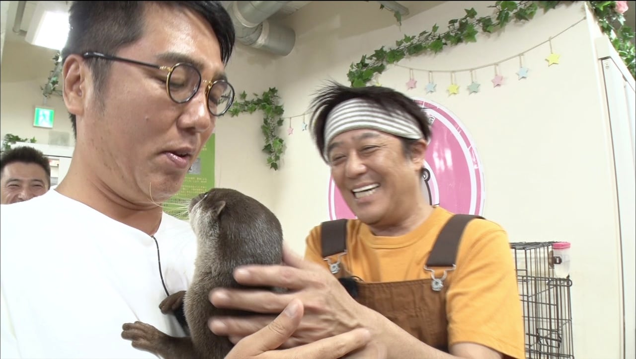 「坂上どうぶつ王国」でカワウソと触れ合う（左から）おぎやはぎ小木、坂上忍。(c)フジテレビ