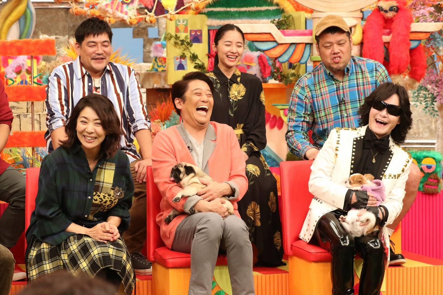 「坂上どうぶつ王国」のワンシーン。(c)フジテレビ