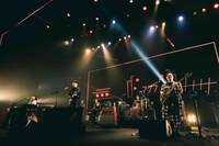 ゲスの極み乙女。の全国ツアー最終公演「ゲスなのか、タコなのか」の様子。（撮影：石ヶ森三英）