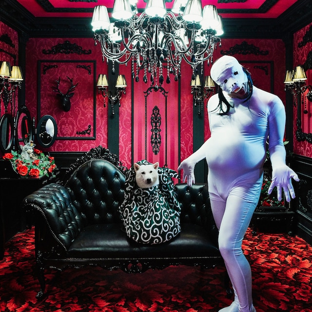 ソフトバンクCMに登場する“白戸家のお父さん”こと「白戸次郎」の公式Instagramアカウントを1日限定ジャックする野性爆弾くっきー。