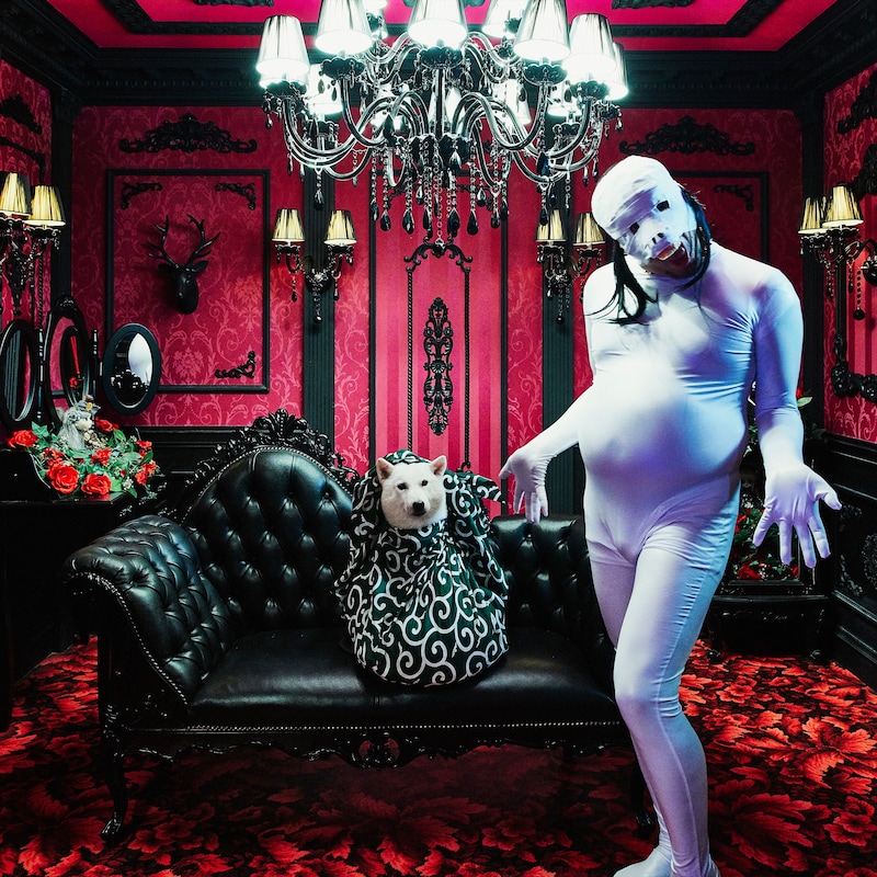 ソフトバンクCMに登場する“白戸家のお父さん”こと「白戸次郎」の公式Instagramアカウントを1日限定ジャックする野性爆弾くっきー。