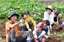 「中学聖日記」第6話では有村架純演じる末永聖は小学校に勤務している。(c)TBS