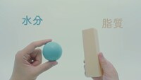 Web動画「ラメラって知ってます？篇」より。
