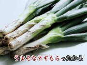 動画「こんな日は上州牛 ～Love me gyu～」のワンシーン。