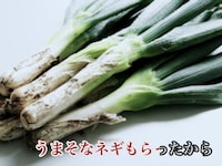 動画「こんな日は上州牛 ～Love me gyu～」のワンシーン。