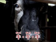 動画「こんな日は上州牛 ～Love me gyu～」のワンシーン。