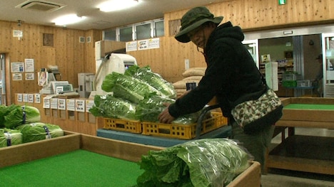 収穫した白菜を自ら道の駅に並べる土肥ポン太。(c)MBS