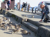 「オレ流あるある 秋季キャンプin会津」の様子。