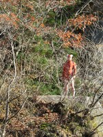 「オレ流あるある 秋季キャンプin会津」にかわうそ君の姿が。