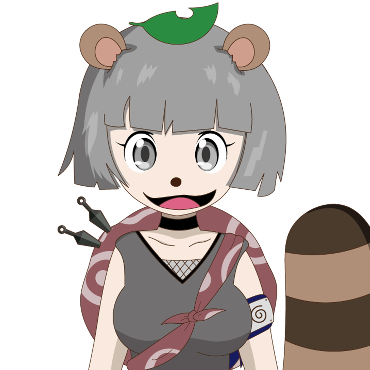 甲賀流忍者ぽんぽこ