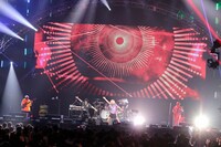 「バズリズム LIVE 2018」のワンシーン。(c)日本テレビ
