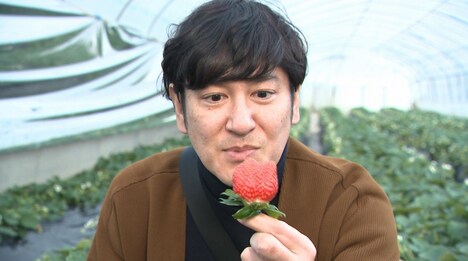 「遠くへ行きたい」のワンシーン。(c)読売テレビ