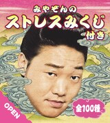 「みやぞんのストレスみくじ」イメージ