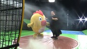 「うわっ！ダマされた大賞2018」のワンシーン。(c)日本テレビ