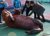 「伊勢でぶら納め！雨上がりのフォトぶら♪年末SP」のワンシーン。(c)関西テレビ