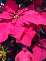 ぱんつさんの写真。