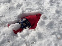 ぱんつさんの写真。