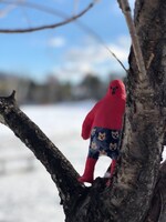 ぱんつさんの写真。