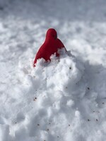 ぱんつさんの写真。