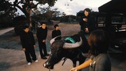 「霜降りAマッソ 笑いの修学旅行」より。(c)静岡朝日テレビ