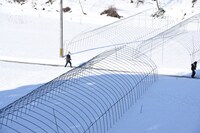 最後方を歩く鹿（バンビーノ藤田）。