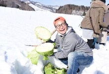 雪下キャベツ掘りを体験するバンビーノ石山。