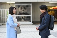 「美人が婚活してみたら」より。