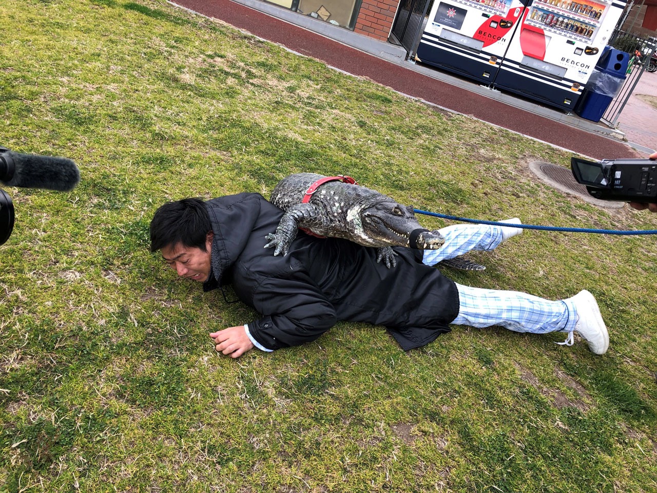 ワニと戯れるパンサー尾形。