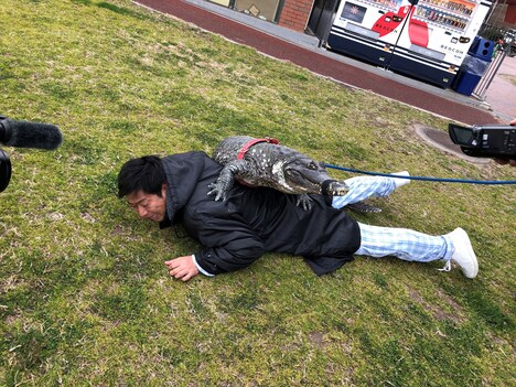 ワニと戯れるパンサー尾形。