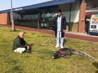 「突撃！しあわせ買取隊」3月7日放送回より。