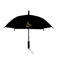 「UMBRELLAデビュー傘」