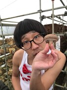 シイタケを持つひょっこりはん。