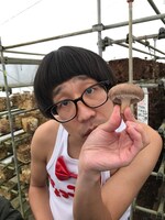 シイタケを持つひょっこりはん。