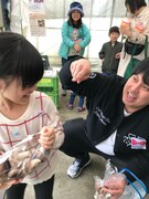 シイタケ狩りのワンシーン。