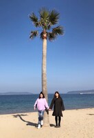 海原やすよ ともこ (c)読売テレビ