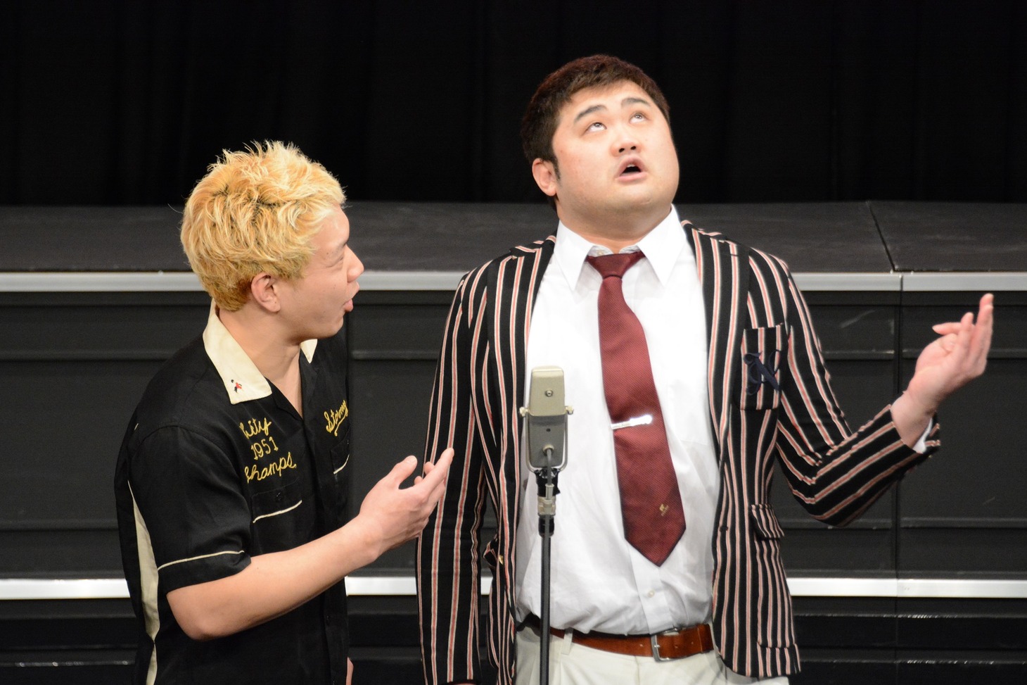 ウォンバット