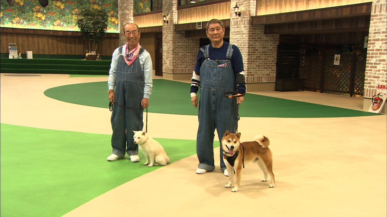 左から志村けん、ビートたけし。(c)日本テレビ