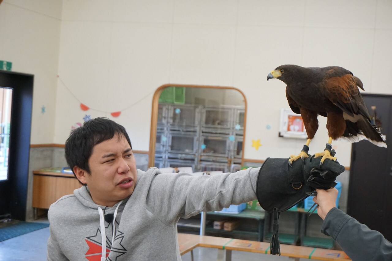「冒険発掘バラエティ 霜降り明星のあてみなげ」のワンシーン。(c)静岡朝日テレビ