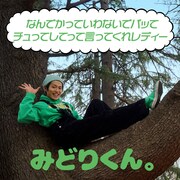 みどりくん。「なんでかっていわないでパッて チュってしてって言ってくれレディー」ジャケット