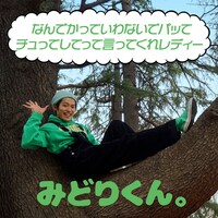 みどりくん。「なんでかっていわないでパッて チュってしてって言ってくれレディー」ジャケット