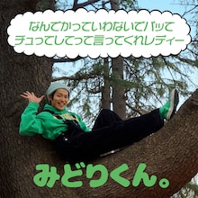 みどりくん。「なんでかっていわないでパッて チュってしてって言ってくれレディー」ジャケット