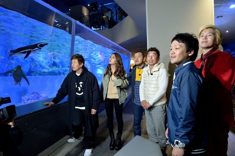 番組のワンシーン。(c)東海テレビ