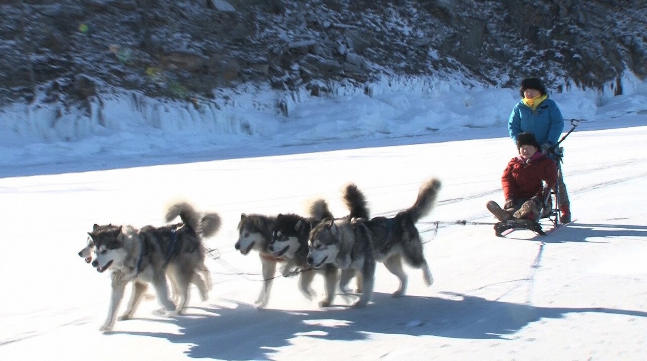 「世界の果てまでイッテQ！」のワンシーン。(c)日本テレビ