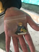 ココリコ田中の手のひらに乗せられた「バイオレンス・ボイジャー」の原画。