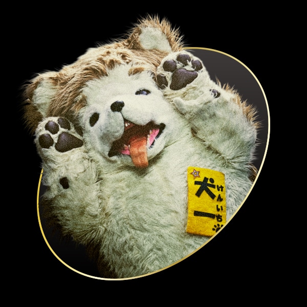 犬一