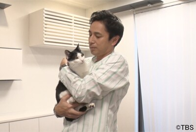 「土曜☆ブレイク『保護にゃんハウス』」に出演するチュートリアル徳井。