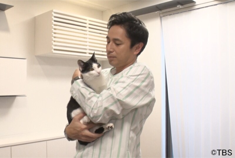 「土曜☆ブレイク『保護にゃんハウス』」に出演するチュートリアル徳井。